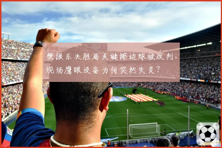 樊振东决胜局关键擦边球被改判，现场鹰眼设备为何突然失灵？
